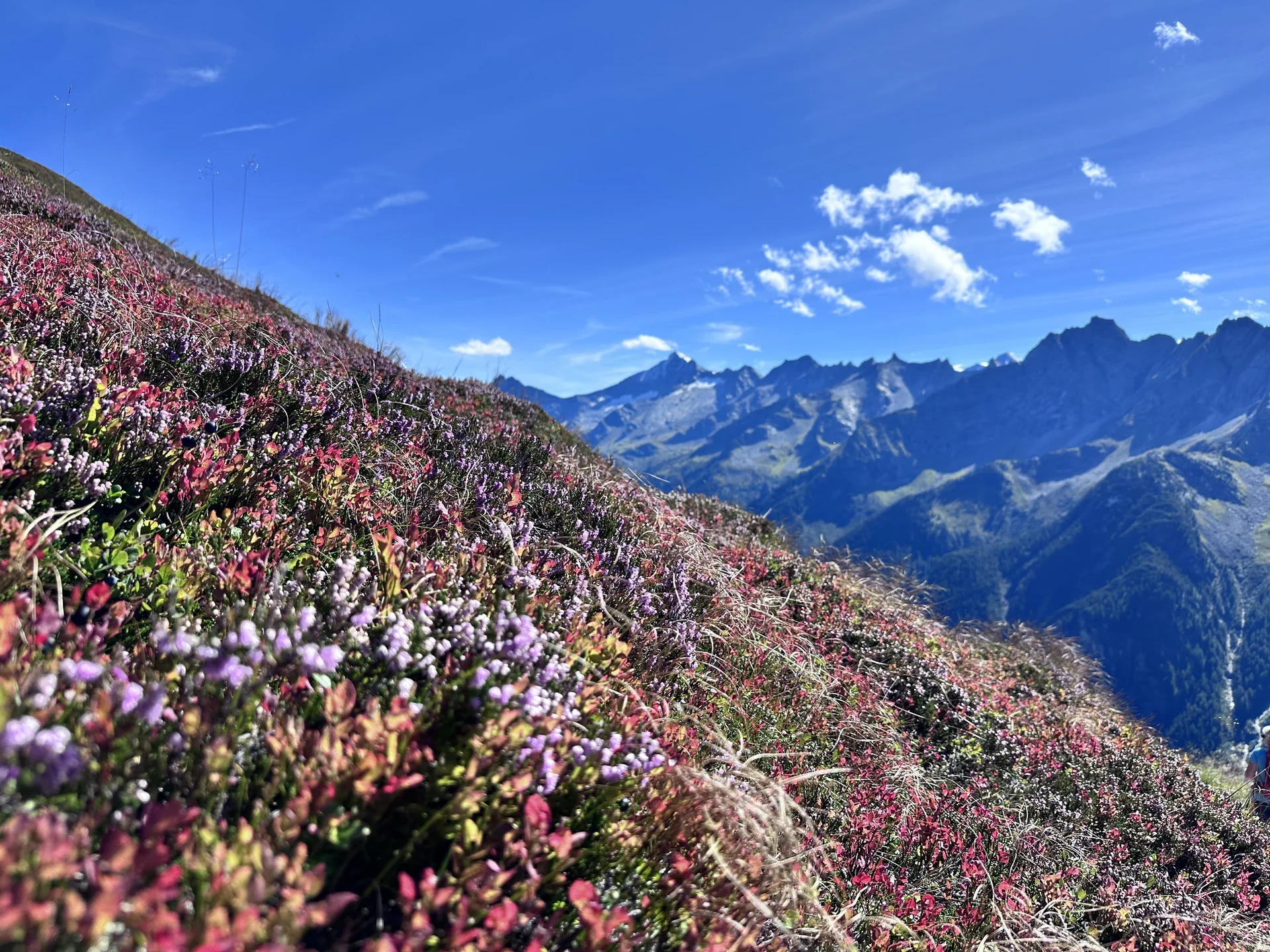 Bergwoche 2025 in Finkenberg/Zillertal | © Otmar Schneider