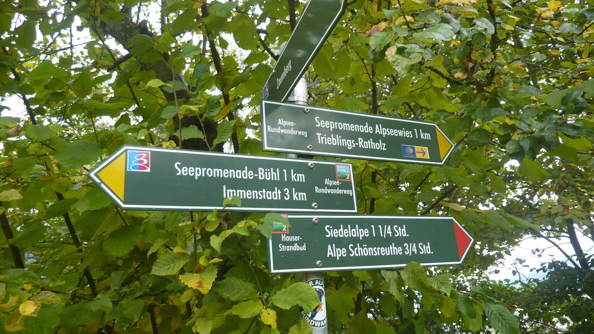 Seniorentour um den Großen Alpsee | © Max Bischofberger