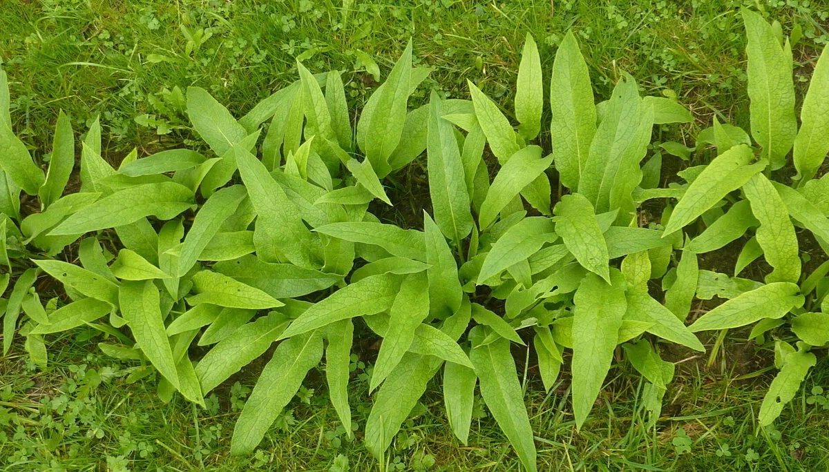 Seniorentour um den Großen Alpsee | © Max Bischofberger