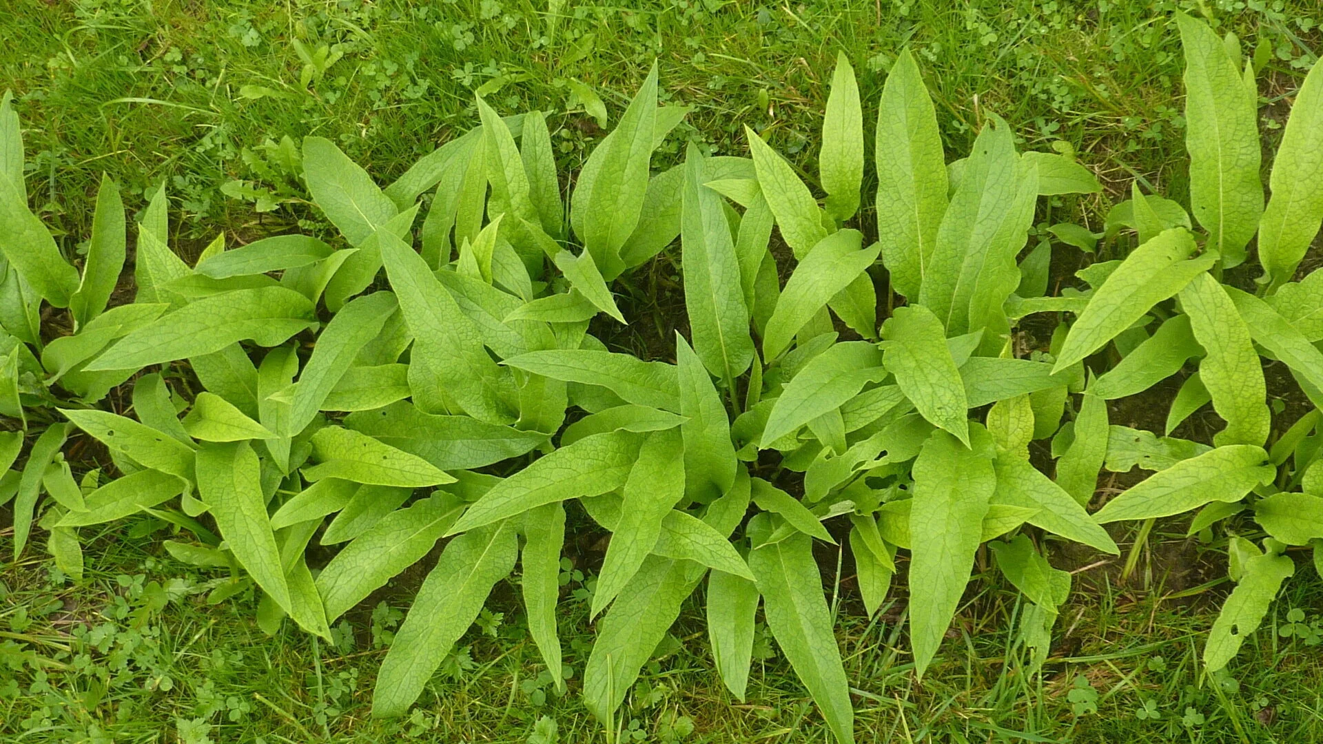 Seniorentour um den Großen Alpsee | © Max Bischofberger