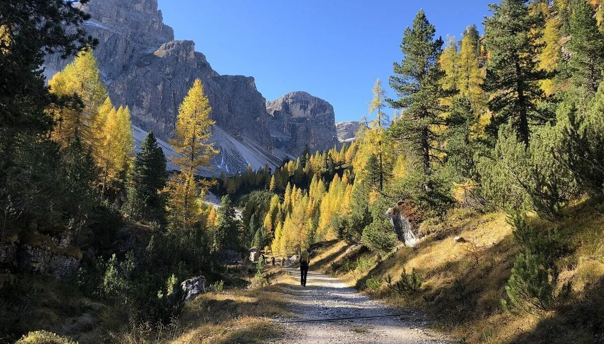 Herbstzauber in Südtirol | © Hubert Weber