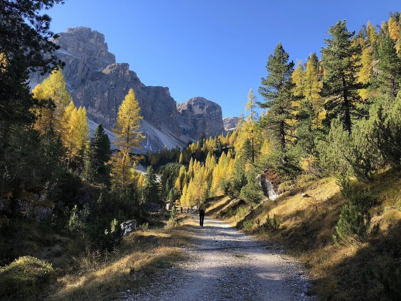 Herbstzauber in Südtirol | © Hubert Weber