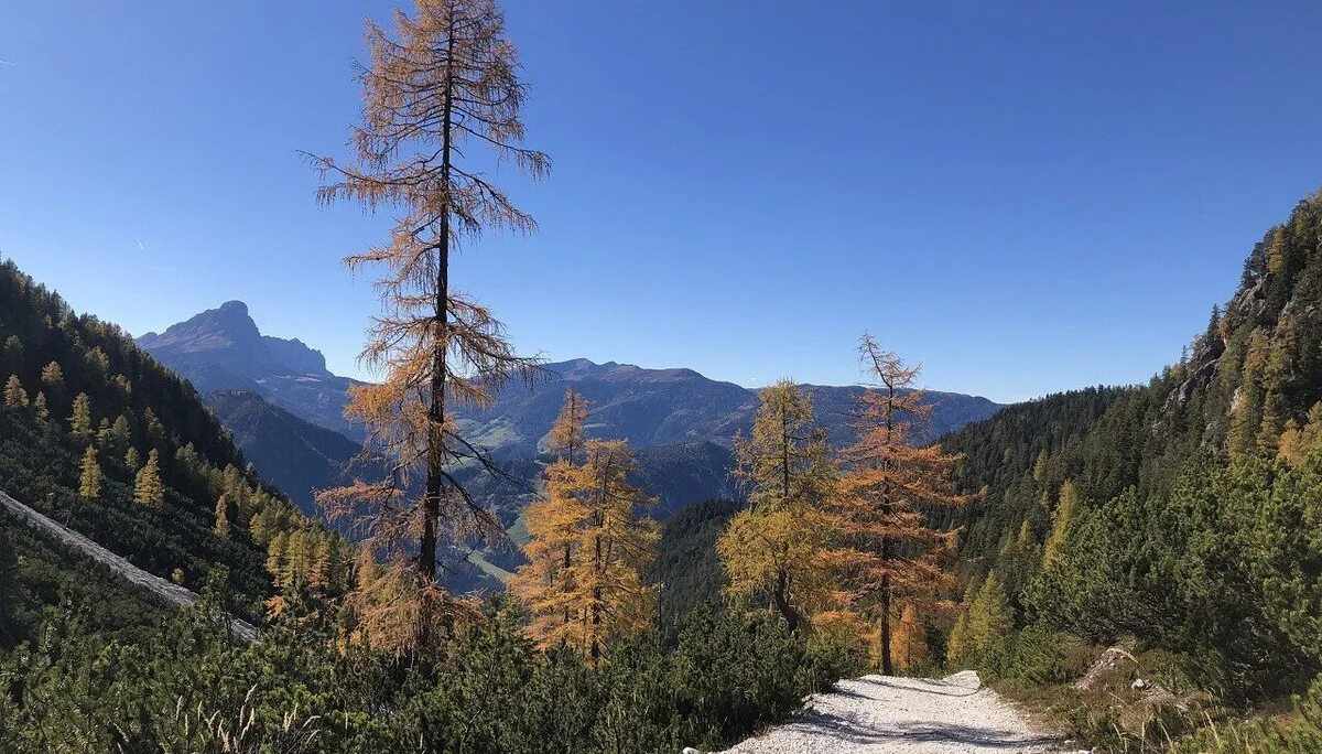 Herbstzauber in Südtirol | © Hubert Weber