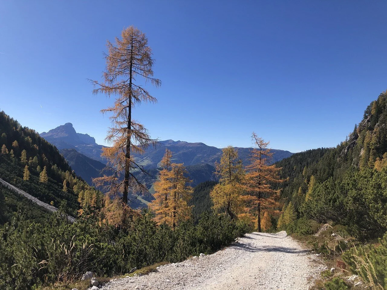 Herbstzauber in Südtirol | © Hubert Weber