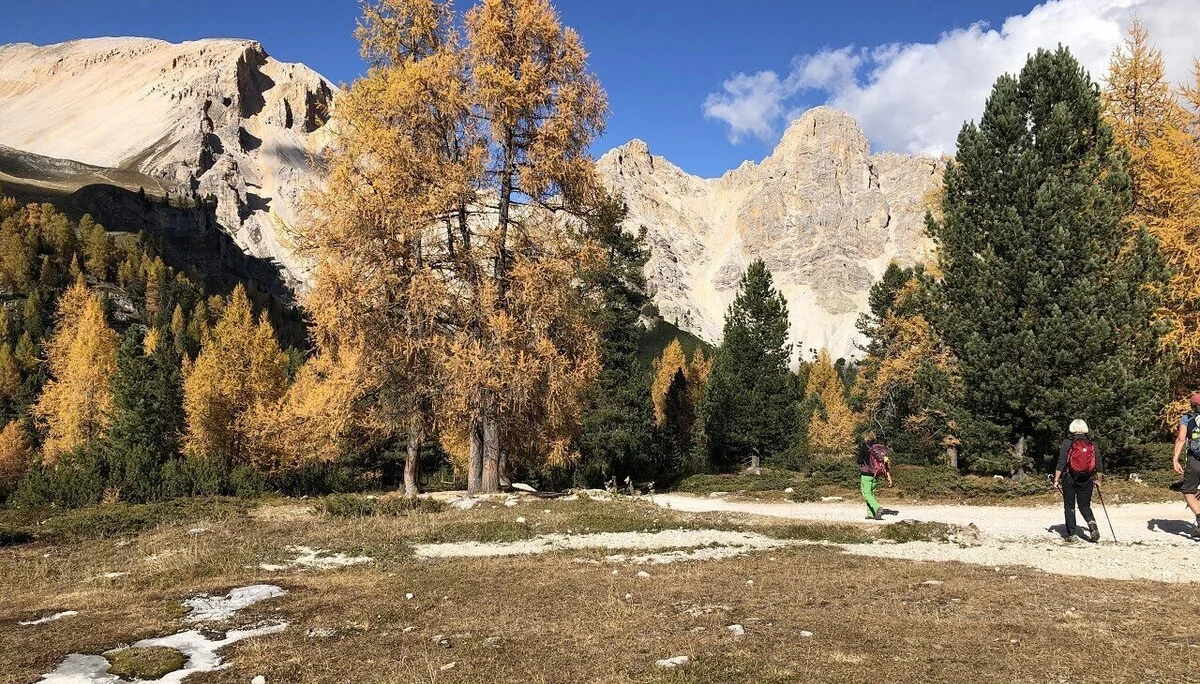 Herbstzauber in Südtirol | © Hubert Weber
