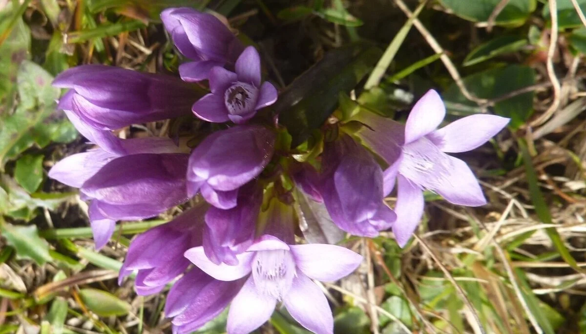 Durch die Höllklamm | © Max Bischofberger