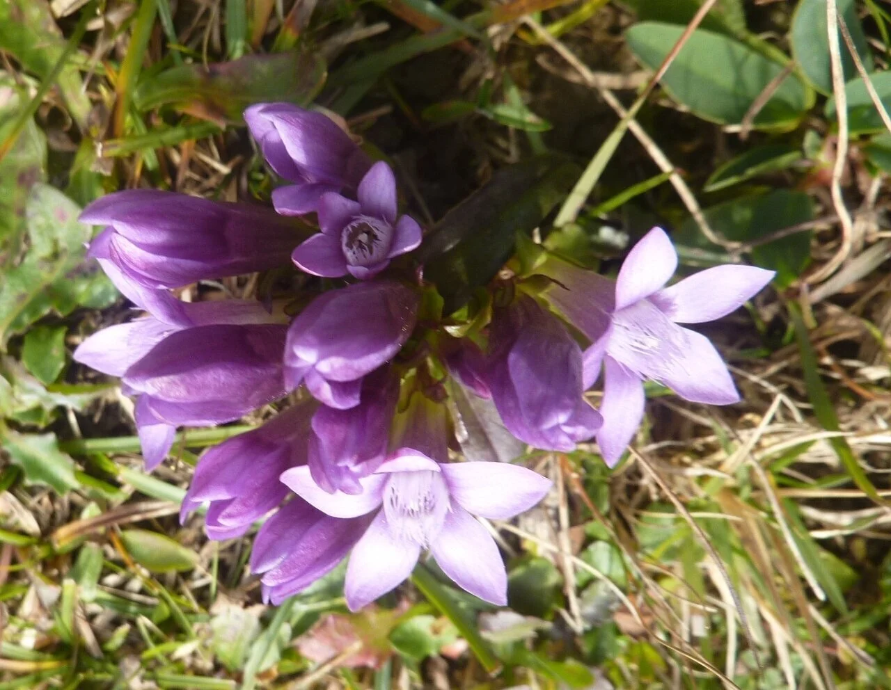 Durch die Höllklamm | © Max Bischofberger