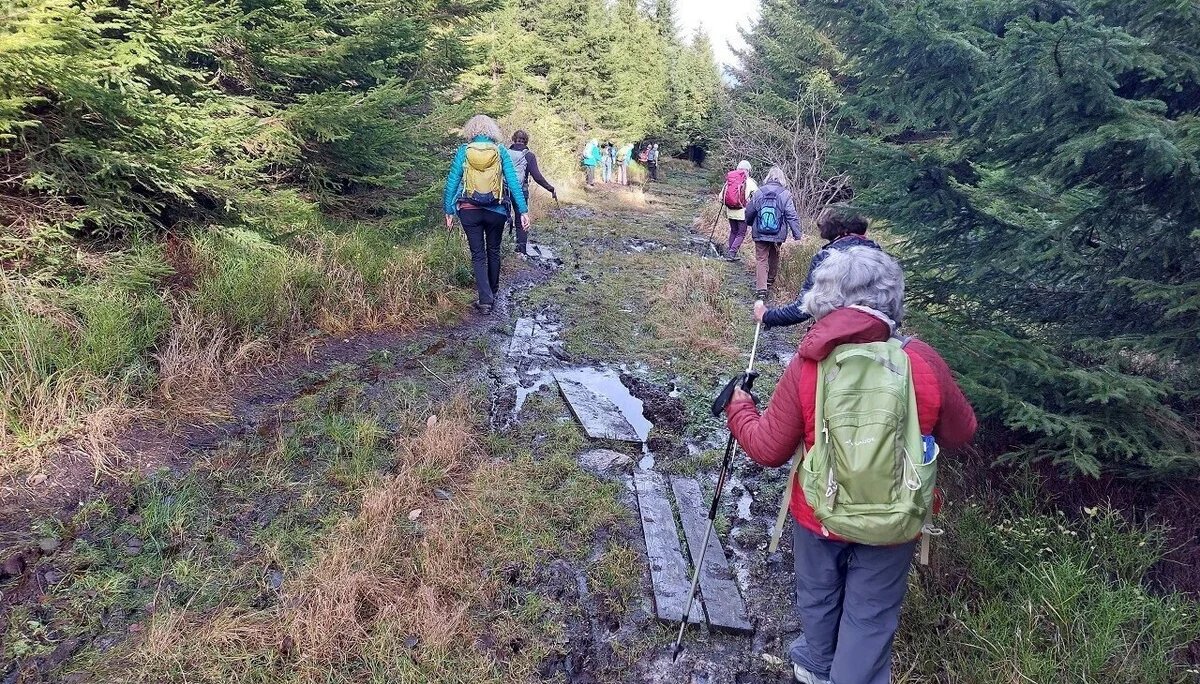 Novembertage im Erzgebirge | © Dieter Henninger