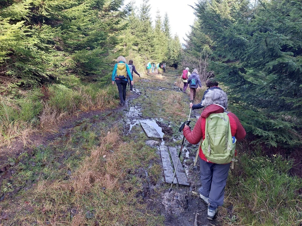 Novembertage im Erzgebirge | © Dieter Henninger