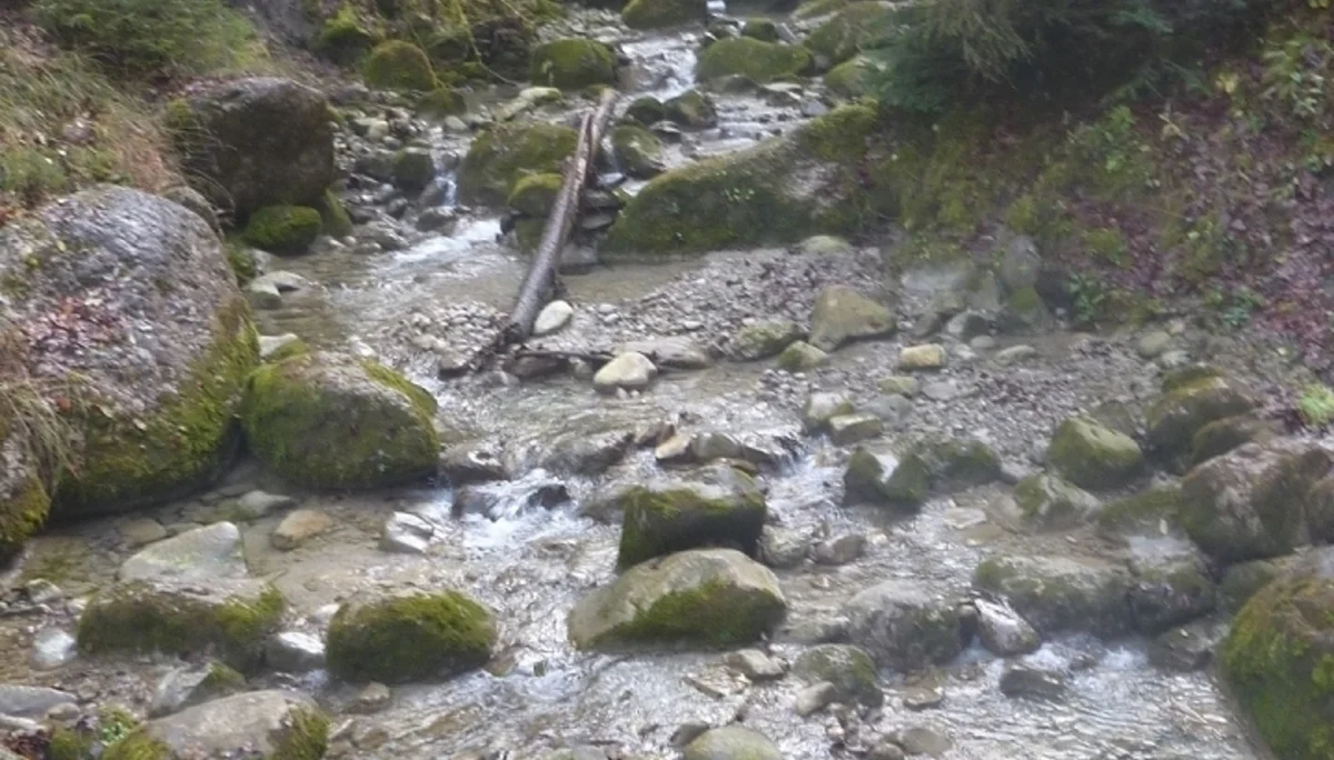 Auf den Dreiländerblick | © Max Bischofberger