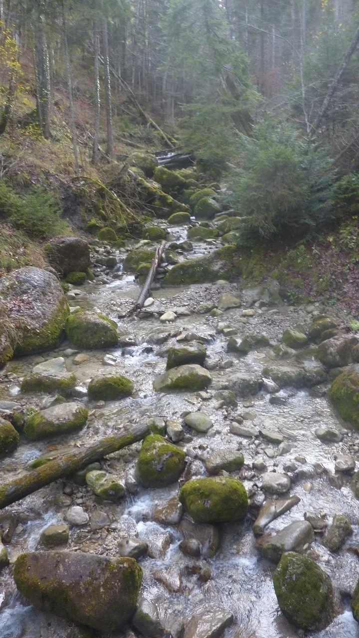 Auf den Dreiländerblick | © Max Bischofberger