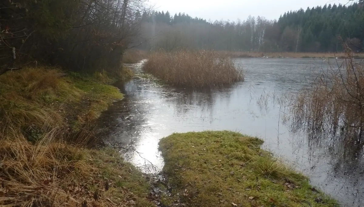 Adventswanderung | © Max Bischofberger