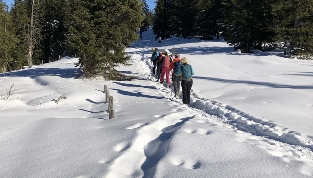 Schneeschuhwanderung zur Aussichtsloge in die Allgäuer Alpen | © Hubert Weber