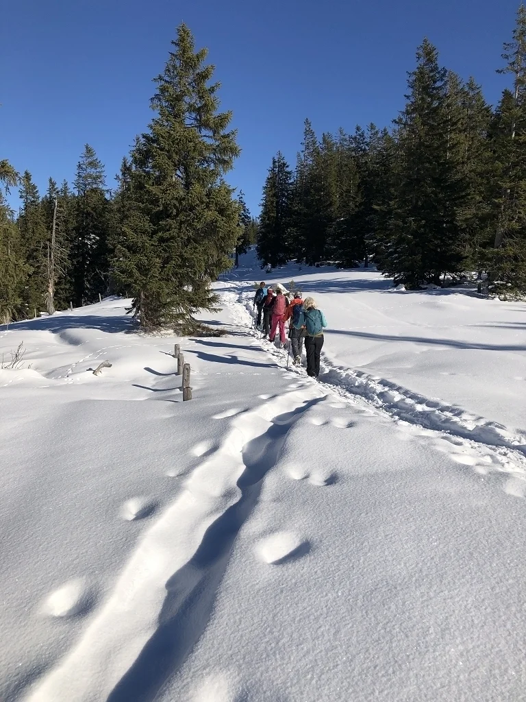 Schneeschuhwanderung zur Aussichtsloge in die Allgäuer Alpen | © Hubert Weber