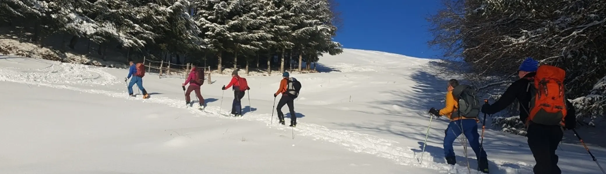 Auf den Hündlekopf | © Hubert Beck