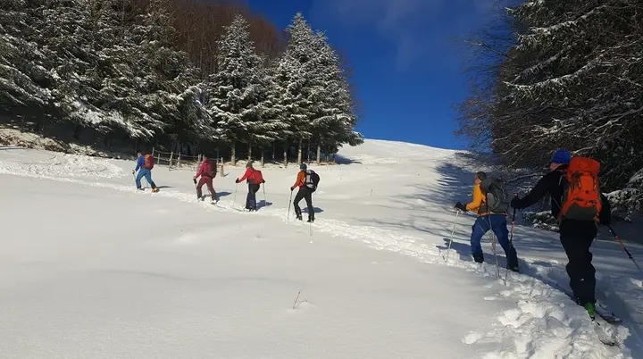 Auf den Hündlekopf | © Hubert Beck