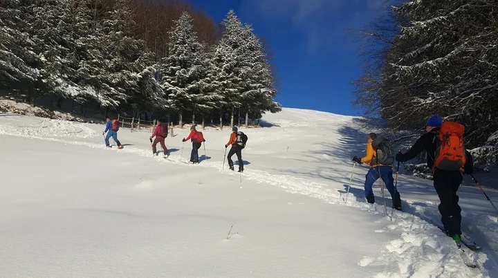 Auf den Hündlekopf | © Hubert Beck