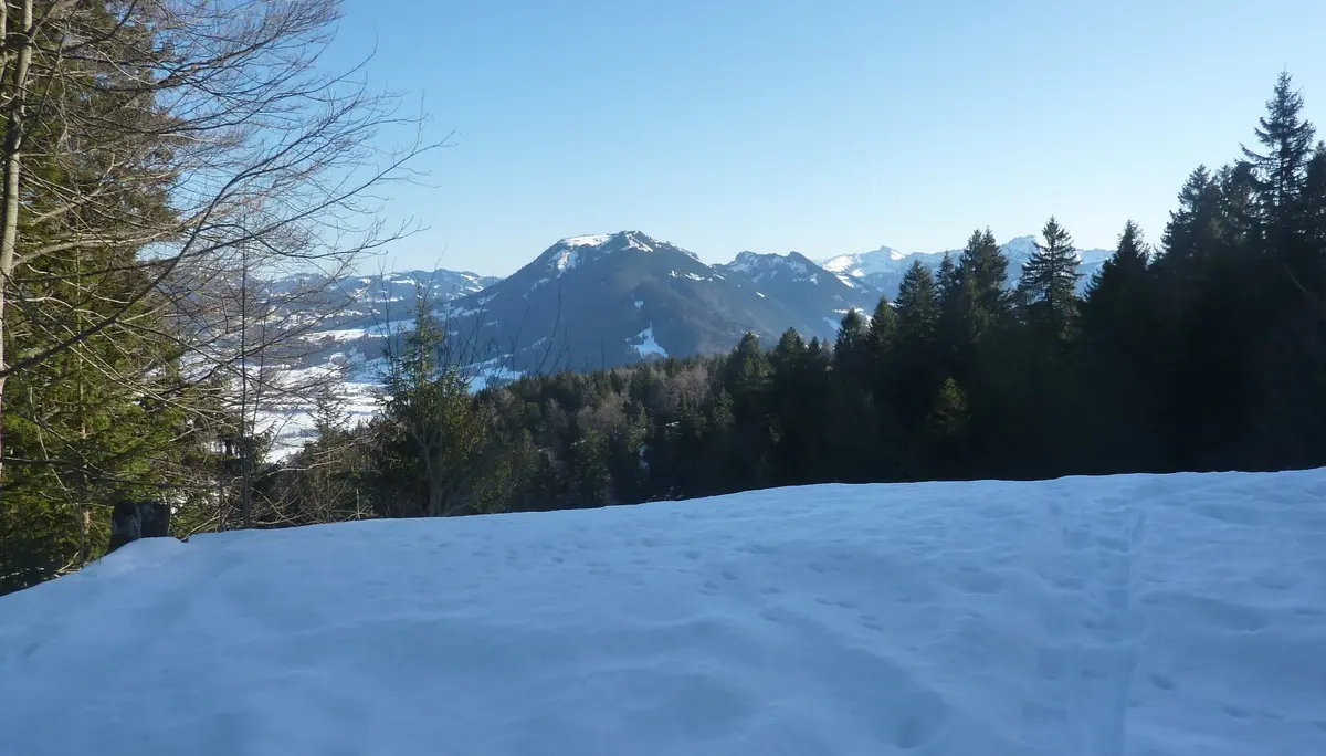 Schneeschuhwanderung bei Schwarzenberg | © Max Bischofberger