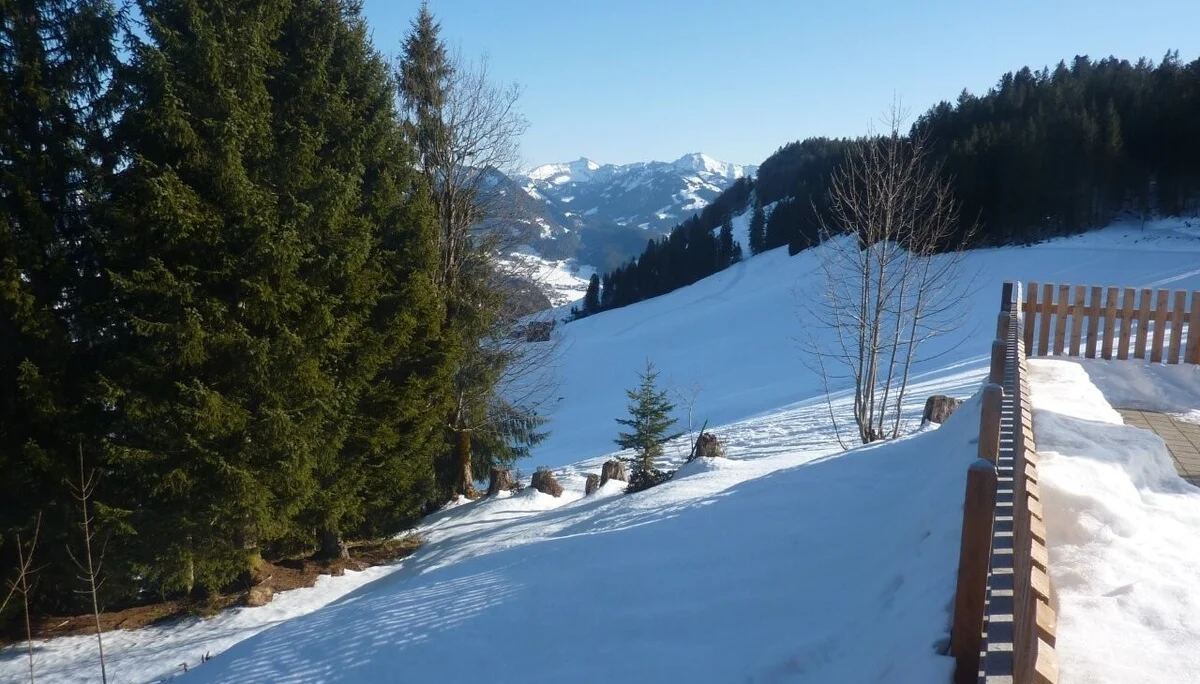 Schneeschuhwanderung bei Schwarzenberg | © Max Bischofberger