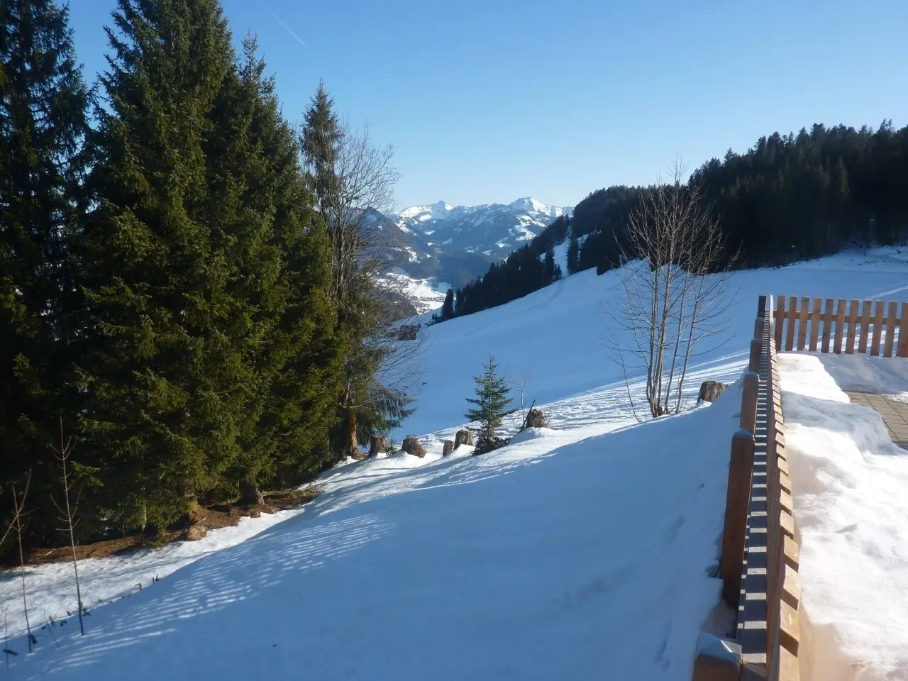 Schneeschuhwanderung bei Schwarzenberg | © Max Bischofberger