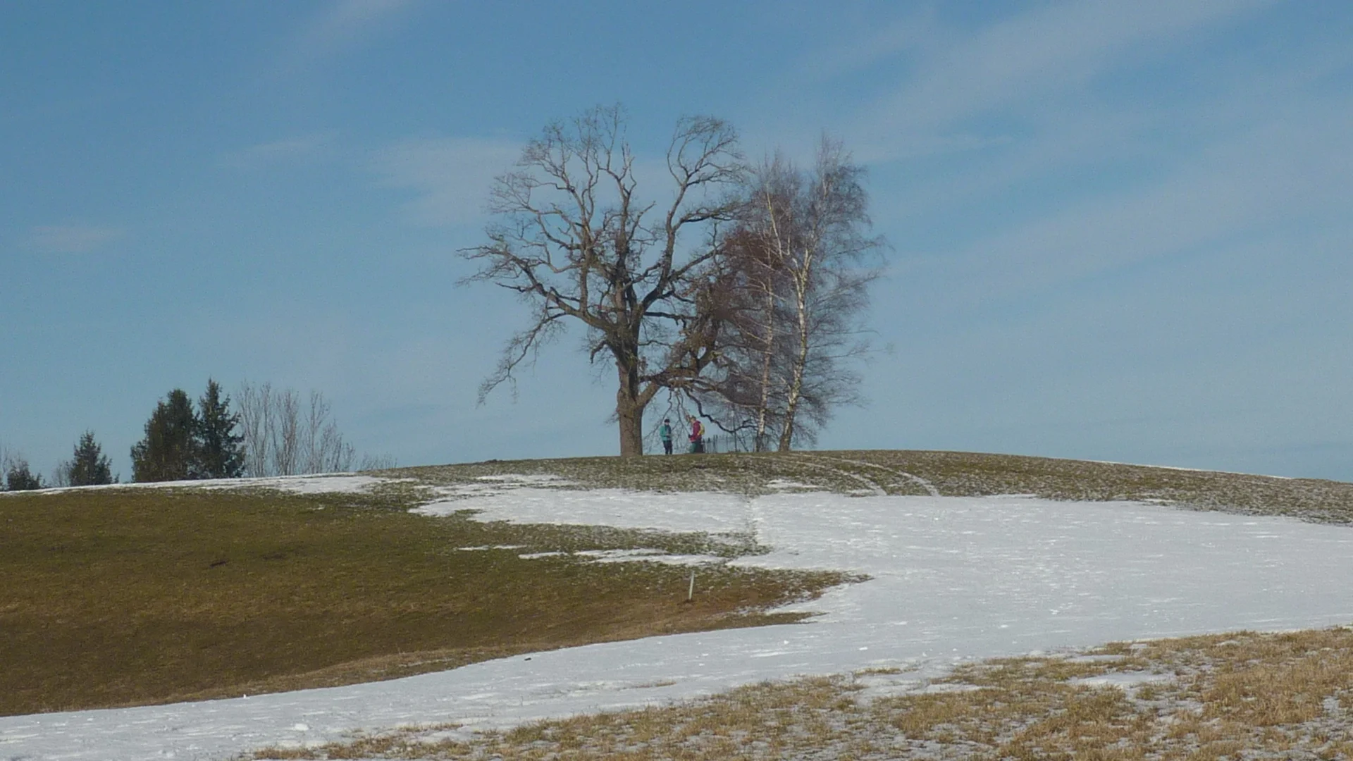 © Max Bischofberger