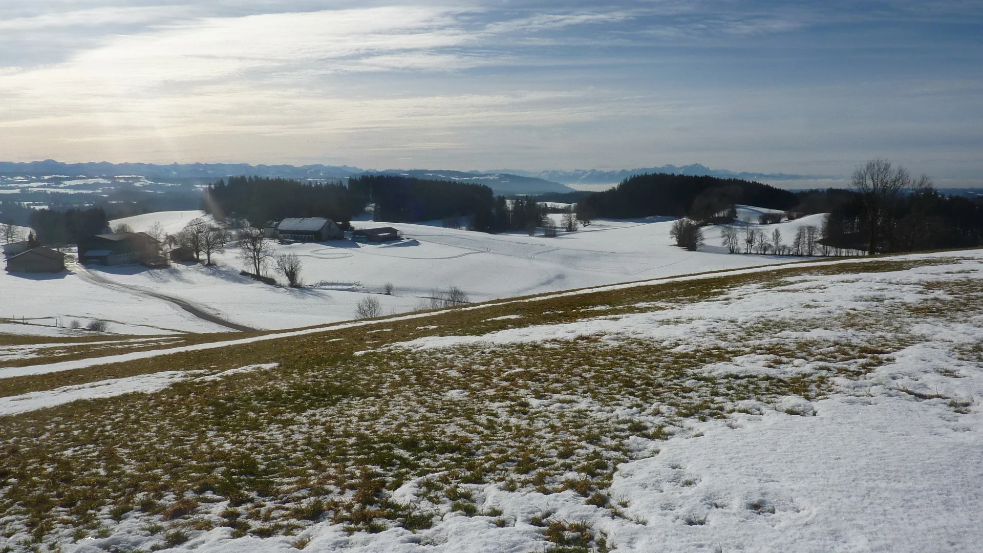 Blick Richtung Zimmerberg ,im Hintergrund der Nebel des Bodensees und die Schweizer Berge | © Max Bischofberger