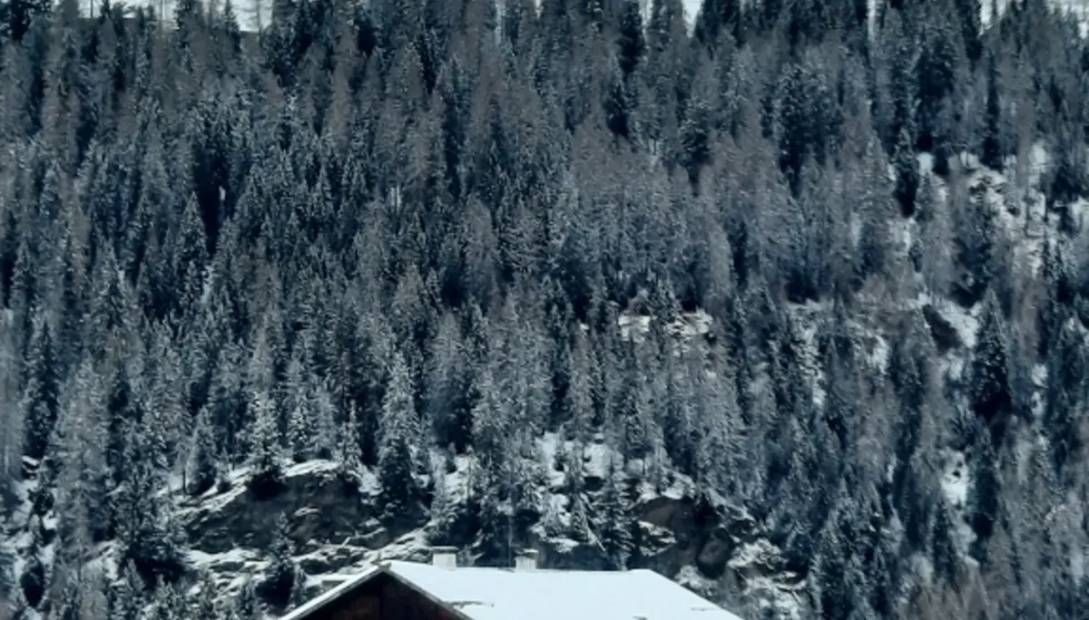 Skitouren im Ultental | © Peter Klugger