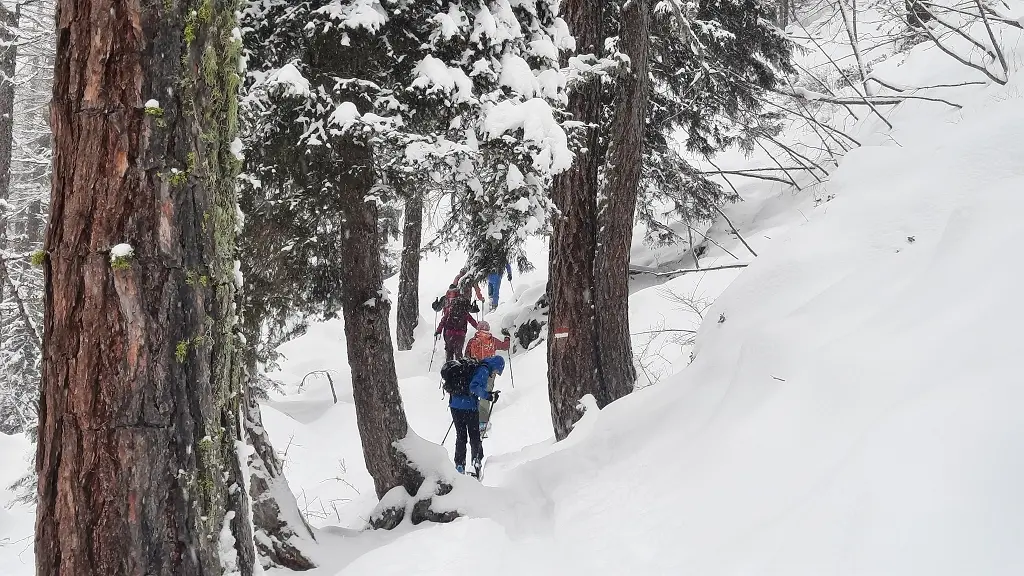 Skitouren im Ultental | © Peter Klugger