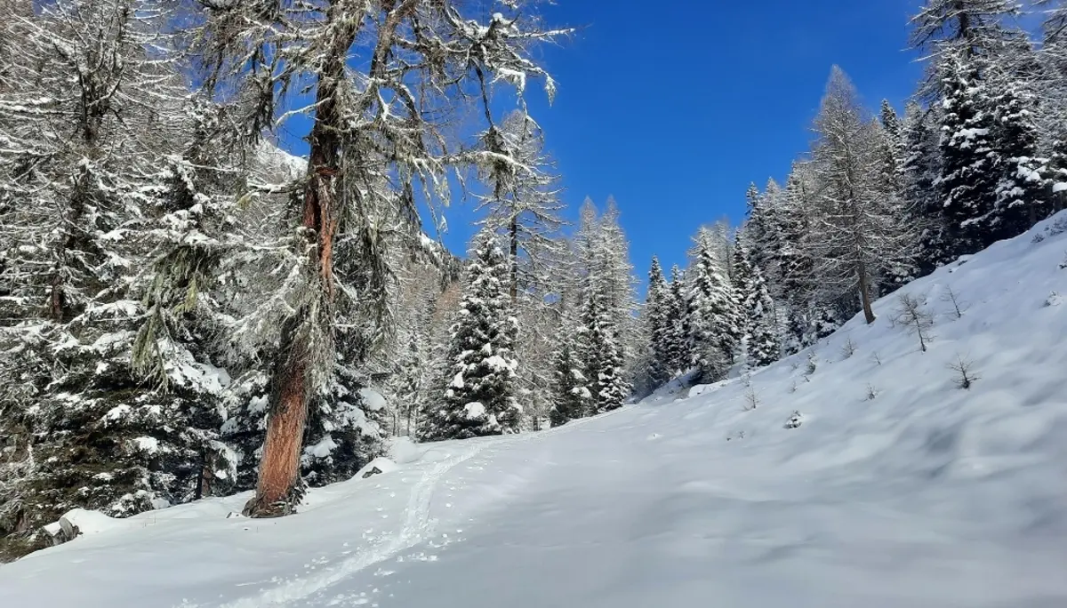 Skitouren im Ultental | © Peter Klugger
