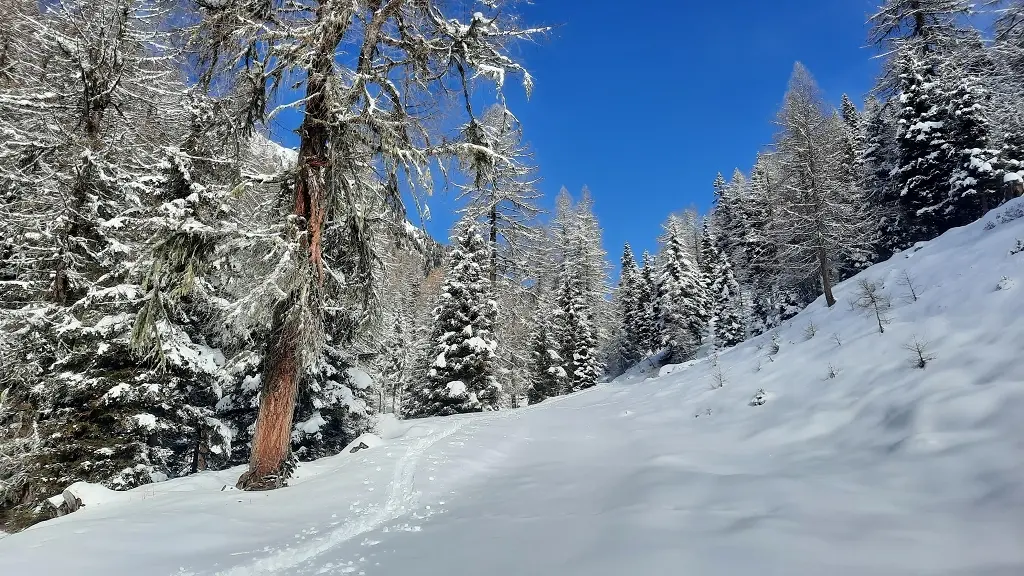 Skitouren im Ultental | © Peter Klugger