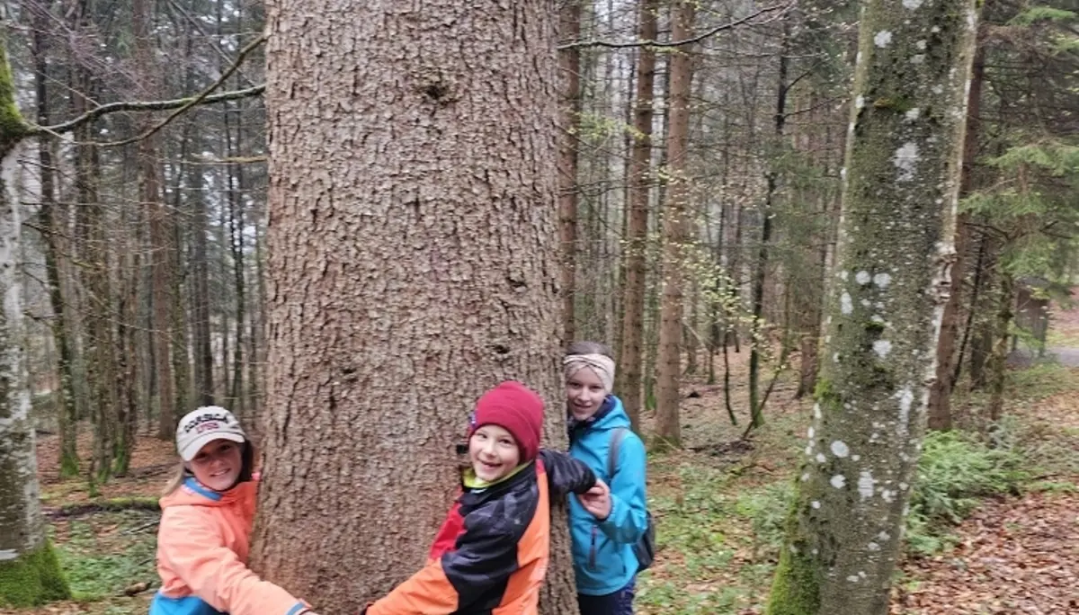Frühlingswanderung am Hündle | © Nina Veller