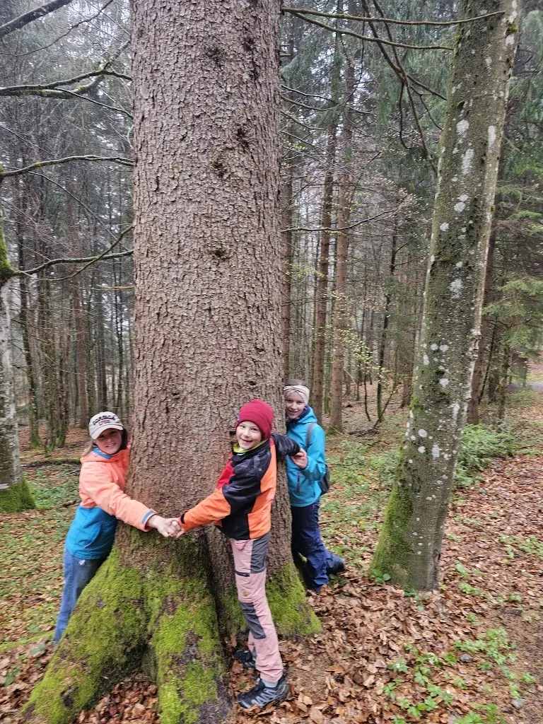 Frühlingswanderung am Hündle | © Nina Veller