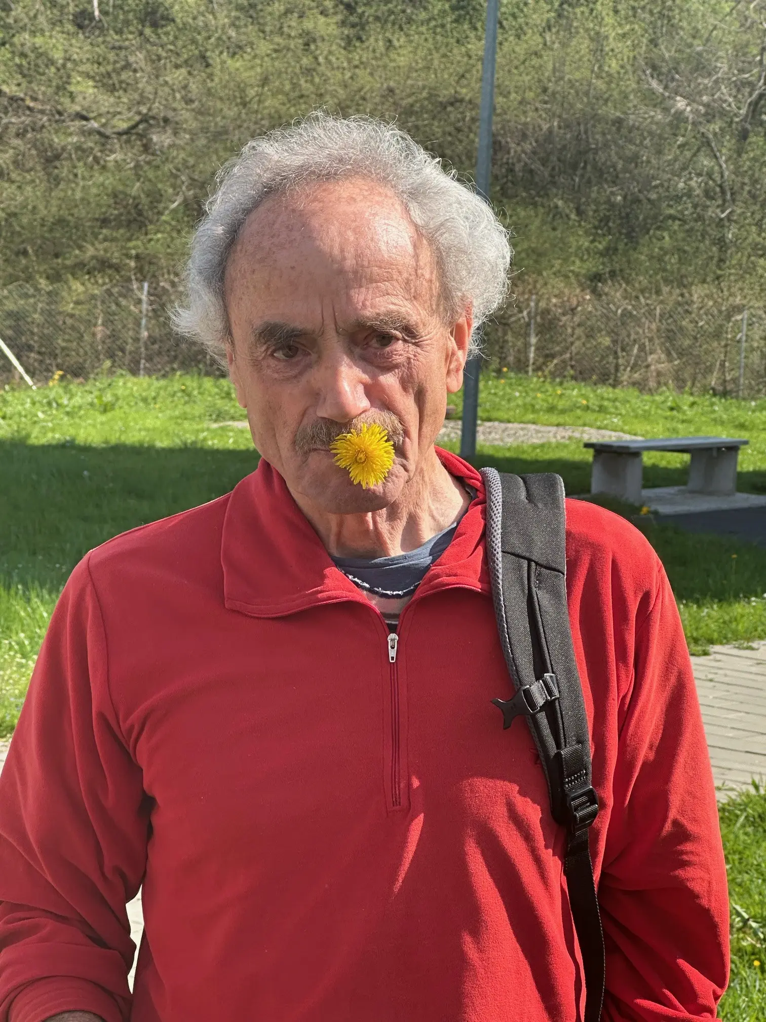 Kräuterwanderung um den Kletterturm | © Kurt Stübing