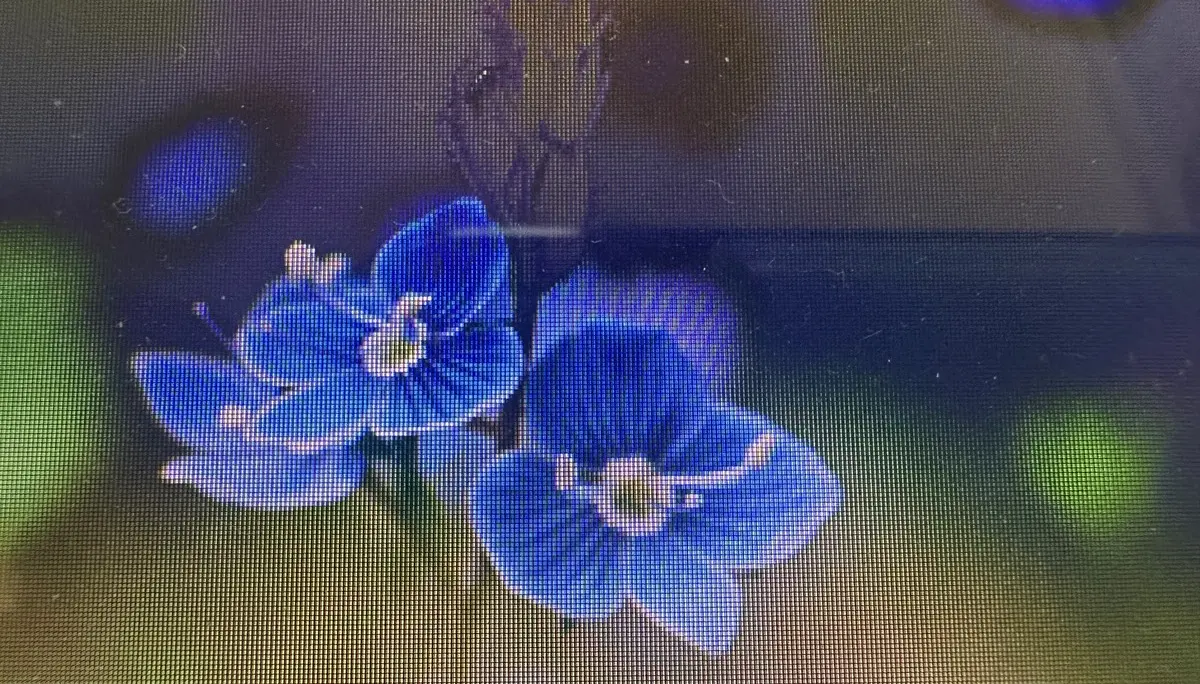 Kräuterwanderung um den Kletterturm | © Kurt Stübing