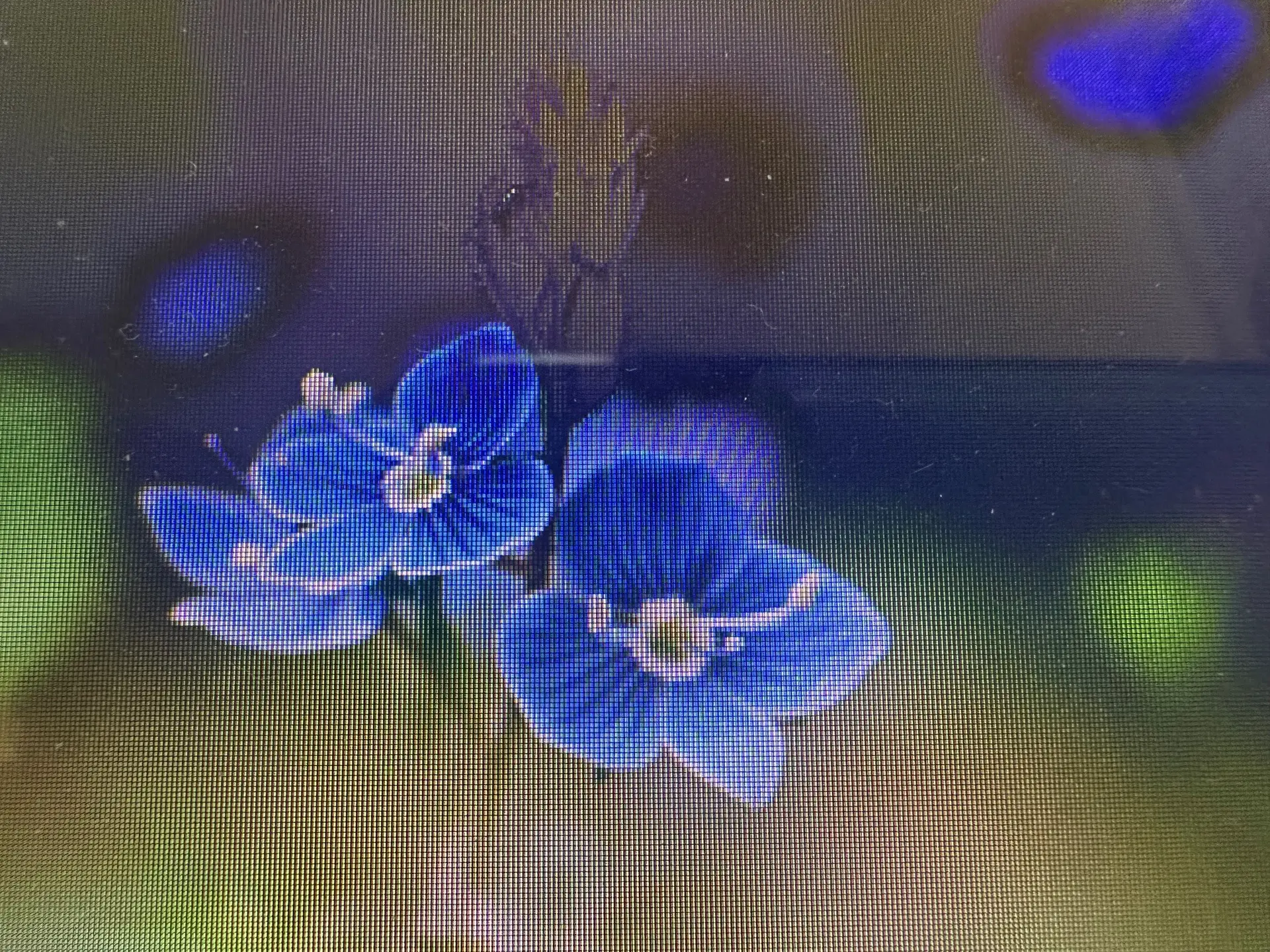 Kräuterwanderung um den Kletterturm | © Kurt Stübing