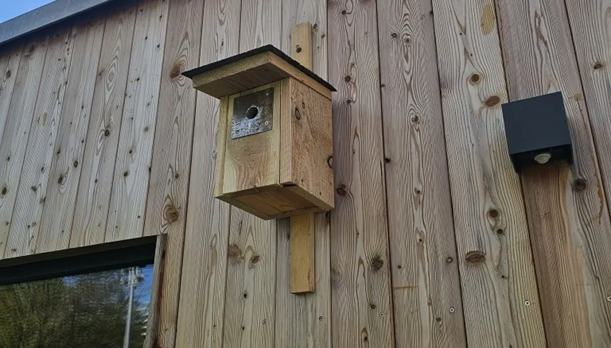 Nistkastenbau mit der Familiengruppe | © Nina Veller