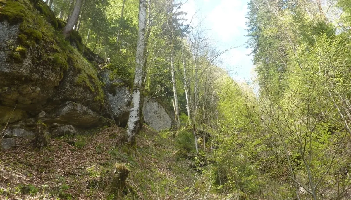 DAV-Senioren unterwegs bei Steibis | © Max Bischofberger