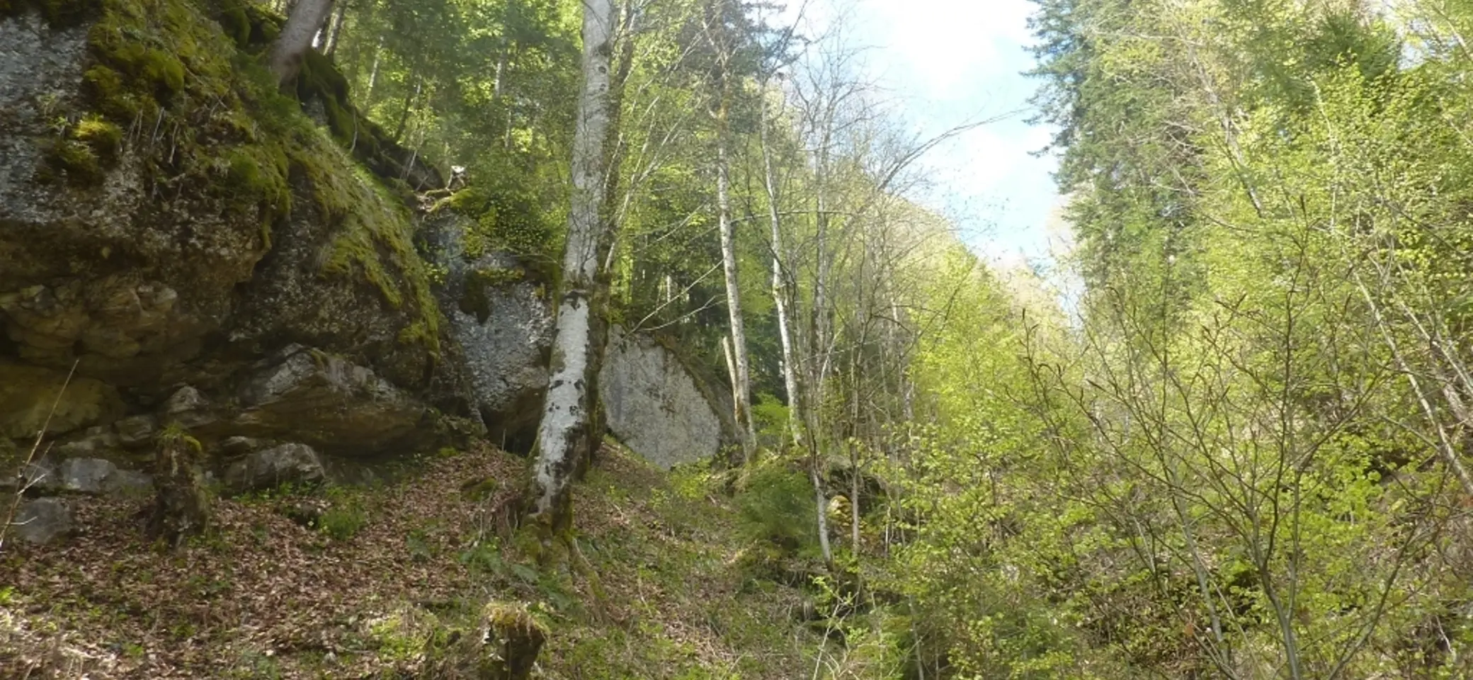 DAV-Senioren unterwegs bei Steibis | © Max Bischofberger