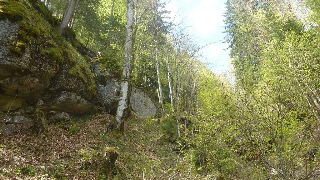 DAV-Senioren unterwegs bei Steibis | © Max Bischofberger