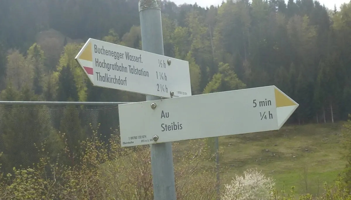 DAV-Senioren unterwegs bei Steibis | © Max Bischofberger