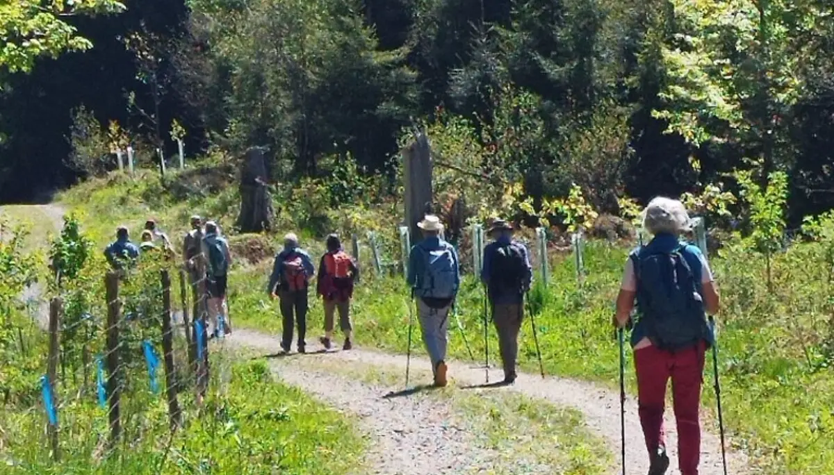 1. Mai Wanderung aufs Kögelegg | © DAV Wangen