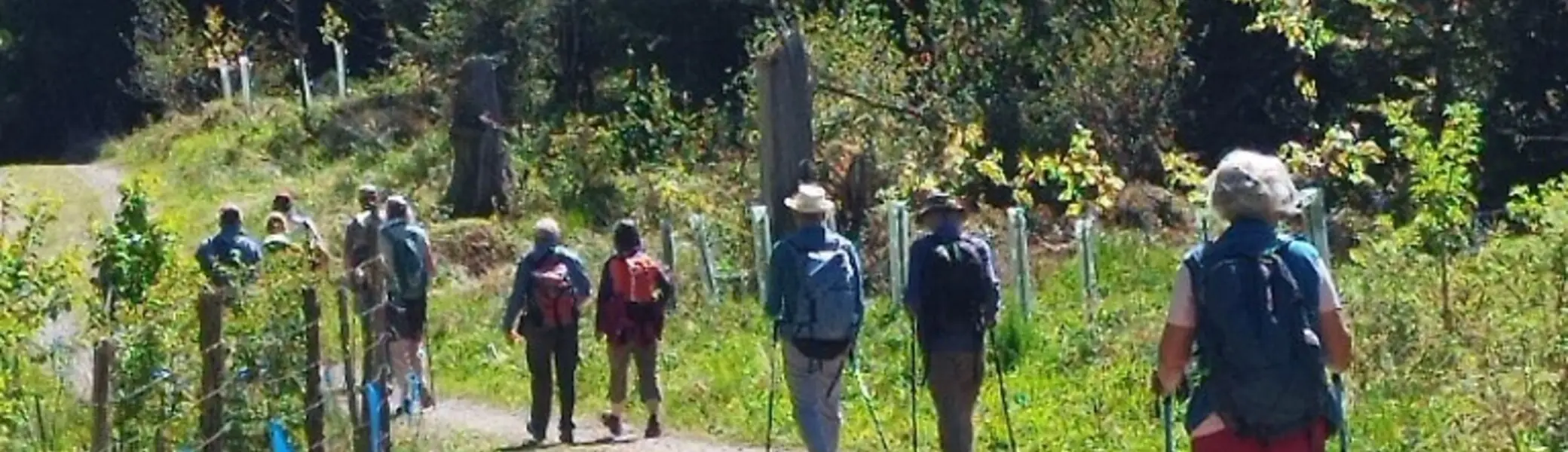 1. Mai Wanderung aufs Kögelegg | © DAV Wangen