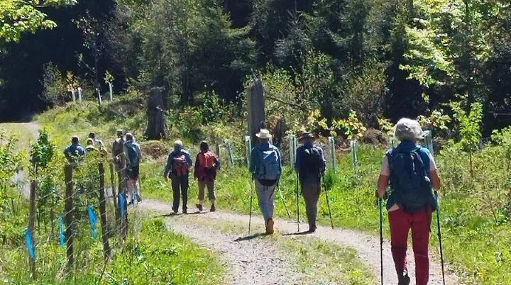 1. Mai Wanderung aufs Kögelegg | © DAV Wangen