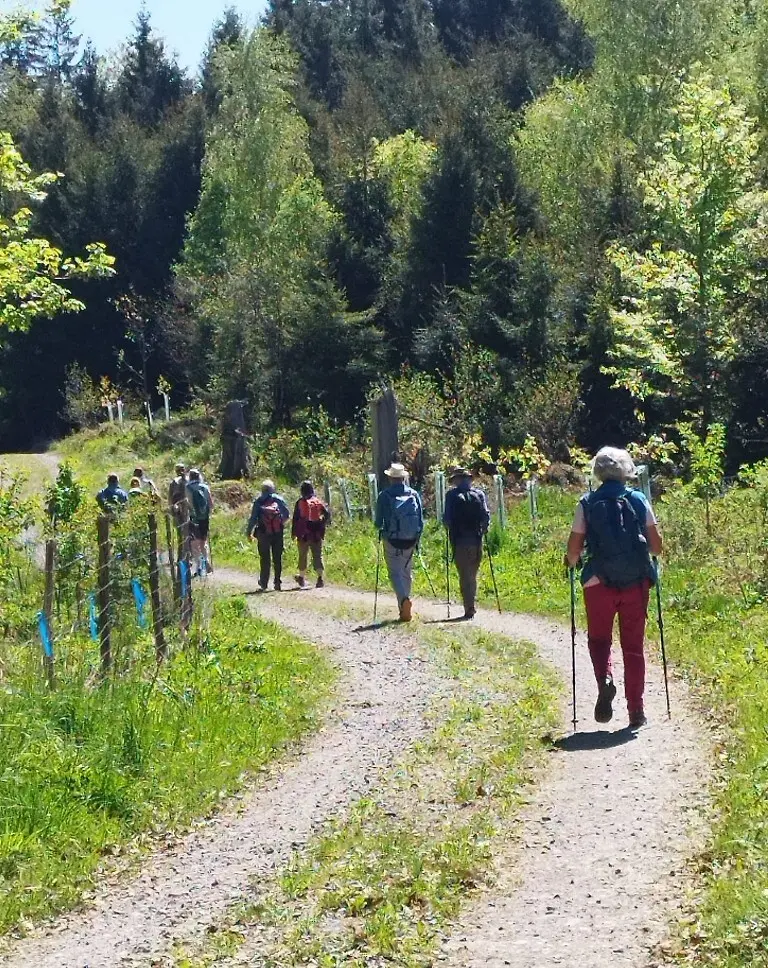 1. Mai Wanderung aufs Kögelegg | © DAV Wangen