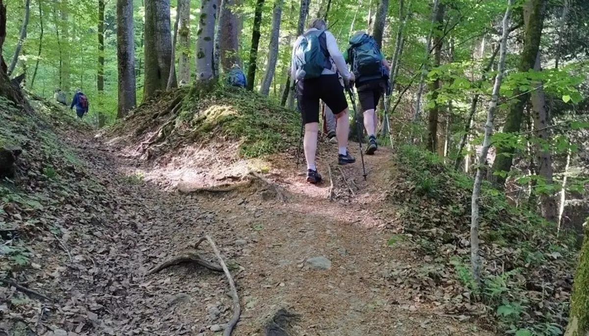 1. Mai Wanderung aufs Kögelegg | © DAV Wangen