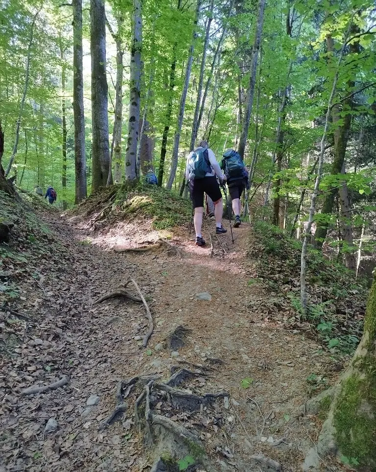 1. Mai Wanderung aufs Kögelegg | © DAV Wangen