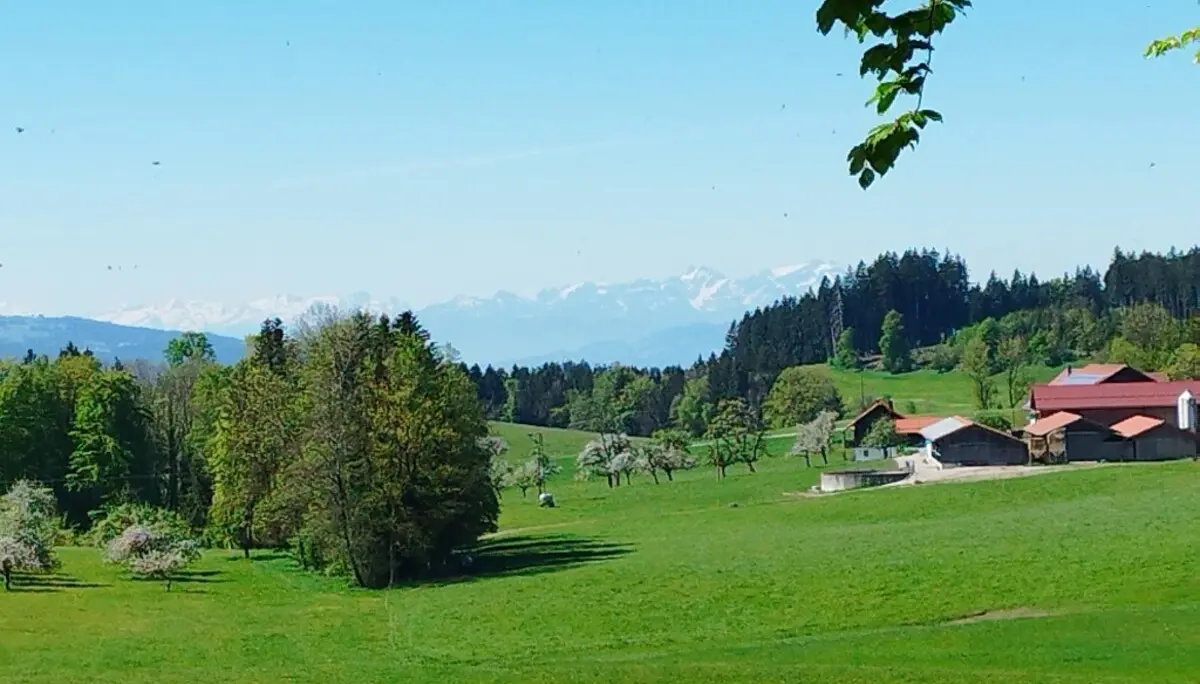 1. Mai Wanderung aufs Kögelegg | © DAV Wangen