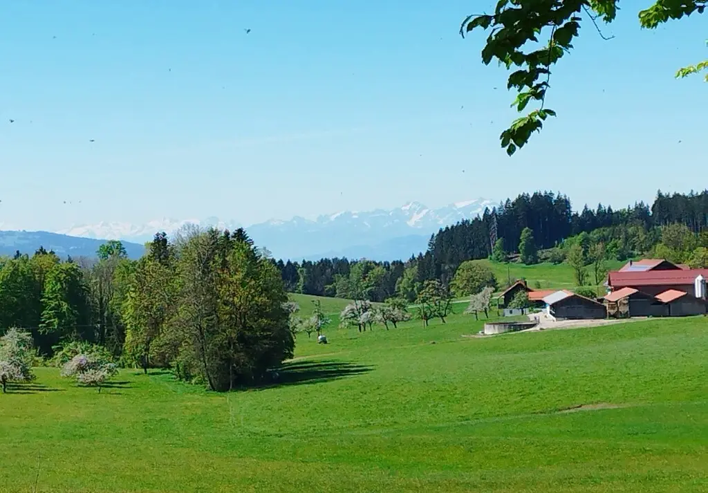 1. Mai Wanderung aufs Kögelegg | © DAV Wangen
