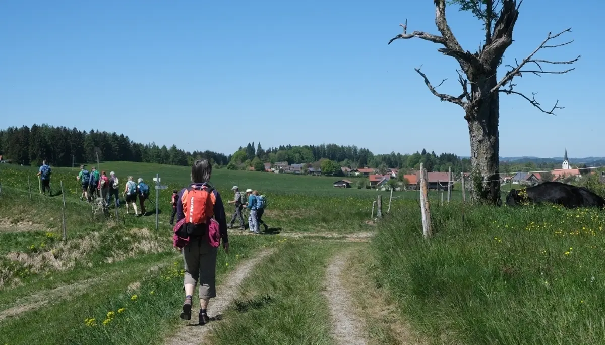 1. Mai Wanderung aufs Kögelegg | © DAV Wangen