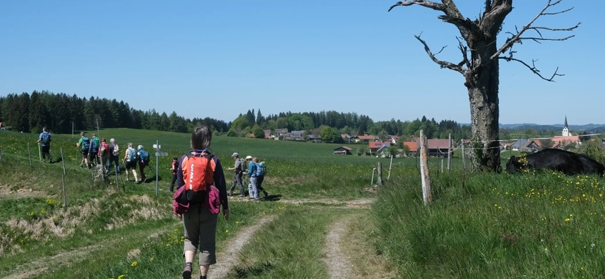 1. Mai Wanderung aufs Kögelegg | © DAV Wangen